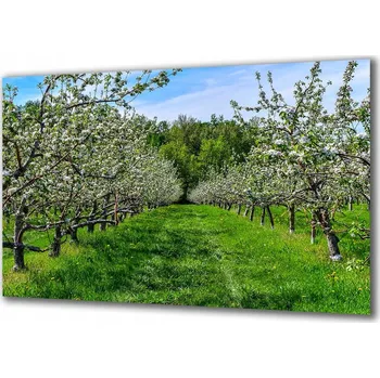 Obraz Obraz na skle Příroda 206219102 100x50