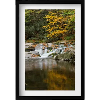 Obraz Obraz v rámu na zeď Zelená krajina lesního potůčku 40x60 cm