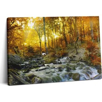 Obraz Fotoobraz na plátně do kanceláře, připravený k zavěšení - Podzimní les 60x40 cm