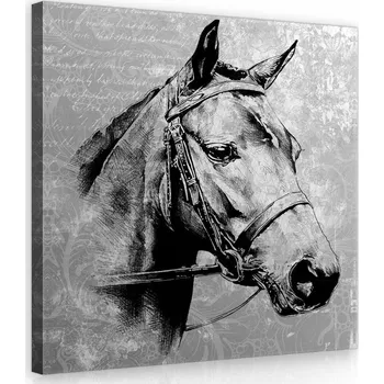 Obraz OBRAZ NA PLÁTNĚ CANVAS 80x80 KŮŇ PORTRÉT GRAFIKA