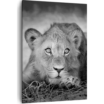 Obraz Obraz na plátně do obýváku ložnice 50x70 zvířata obrazy na zeď canvas