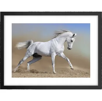 Obraz Obraz plakát v černém rámu do obýváku 40x30 kůň foto plakáty na zeď