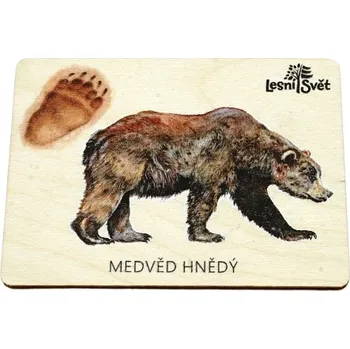magnetka pro dítě Lesní svět Magnet velký - Medvěd