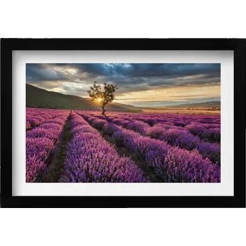 Obraz Dekorace, obraz s grafikou v krásném černém rámu - Levandulové pole, 30x20 cm