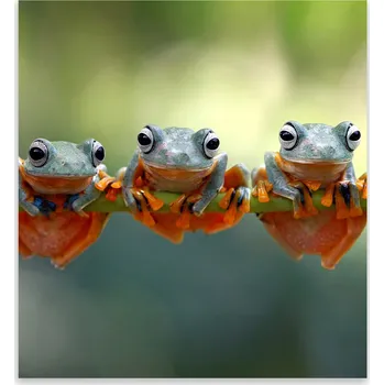 Kuchyňské prkénko Skleněná Ochranná Deska a Krájecí Prkénko | Indukce, Sporák ds-0466