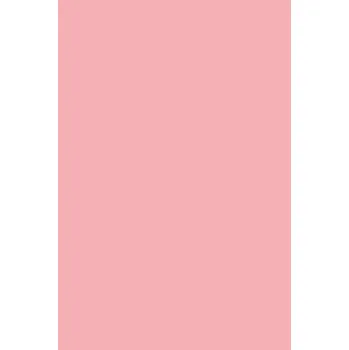 Barevný papír Barevný kartonový papír bristol 160g A2 + růžový - 10 listů