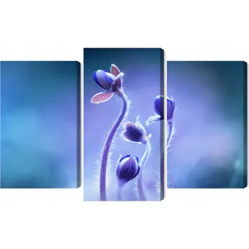 Obraz Vícedílný obraz Jemné květy v makro měřítku 90x60