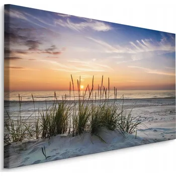 Obraz OBRAZ NA PLÁTNĚ MOŘE PLÁŽ DUNA NA ZEĎ DO OBÝVÁKU LOŽNICE 70x50