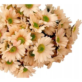 umělá květina Umělé Sedmikrásky Heřmánek Kytice Květina Dekorace Rostlina