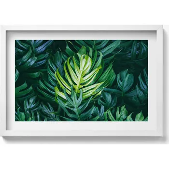 Obraz Obraz na zeď v bílém rámu Tropická příroda - listy monstery 60x40 cm