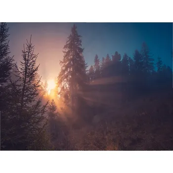 Kuchyňské prkénko Skleněná Ochranná Deska a Krájecí Prkénko | Indukce, Sporák ds-0165