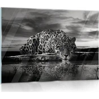 Obraz SKLENĚNÝ OBRAZ NA SKLE ZVÍŘATA JAGUÁR 3D 60x40