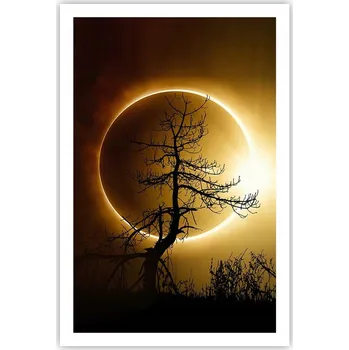 Obraz Obraz plakát do obýváku ložnice 61x91 slunce plakáty na zeď bez rámu