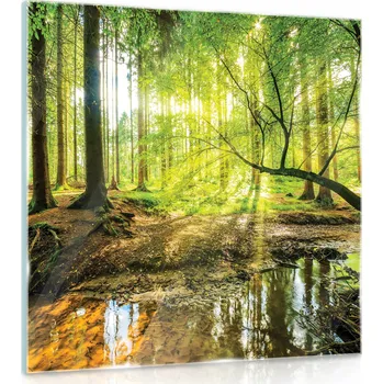 Obraz Skleněný obraz na skle Les Krajina Obývák 30x30