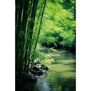 Plakát Plakát Klid Bambusů bez rámu 61 x 91,5 cm