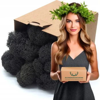 Obraz Sobí mech CHROBOTEK finský ČIŠTĚNÝ Dekorativní ozdobný 100 gramů