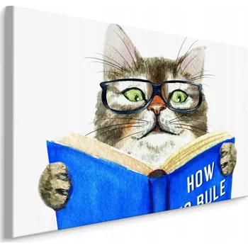 Obraz Dětský obraz KOČKA Zvíře Kniha 3D 70x50