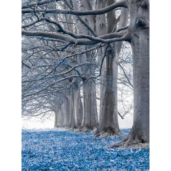 Obraz Plakát Stromy v řadě - Modré listy bez rámu 60 x 80 cm