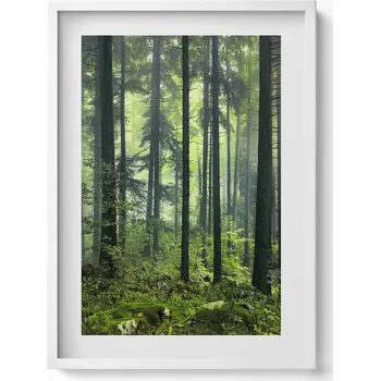 Obraz Závěsný obraz rámeček bílé barvy Krajina stromů a lesní vegetace 50x70 cm