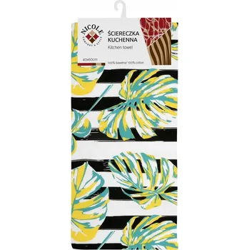 Obraz RAVI HADŘÍK S LISTY MONSTERY 1 KUS