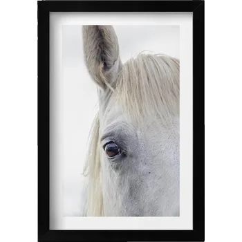 Obraz Elegantní obraz v černém rámu Hlava bílého koně 20x30 cm