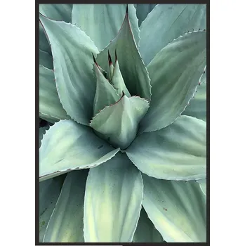 Obraz OBRAZ PLAKÁT V RÁMU 33x43 cm Listy P1035