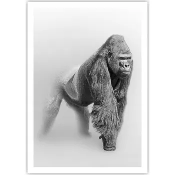 Obraz Plakát na zeď bez rámu 70x100 zvířata obraz plakáty do obývacího pokoje ložnice