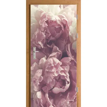 Fototapeta Samolepka na dveře fólie elegantní růžové květy