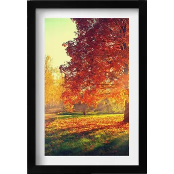 Obraz Dekorativní nástěnný obraz v černém rámu do pokoje Podzimní park 20x30 cm