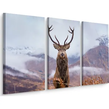 Obraz Obraz Tryptych JELEN v Horách Krajina 3D 60x40