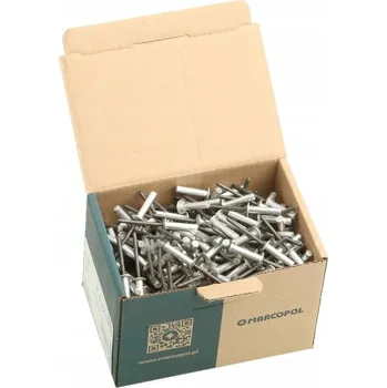 Nýt TRHACÍ NÝTY UZAVŘENÉ HLINÍK / OCEL 4,8 x 21 mm 250 kusů NÝT UZAVŘENÝ