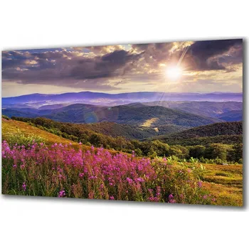 Obraz Obraz na skle Příroda 61602927 100x50