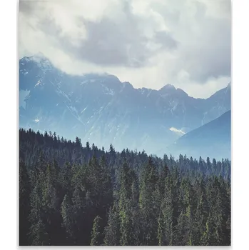 Kuchyňské prkénko Skleněná ochranná deska a prkénko na krájení | Indukce, sporák ds-0423