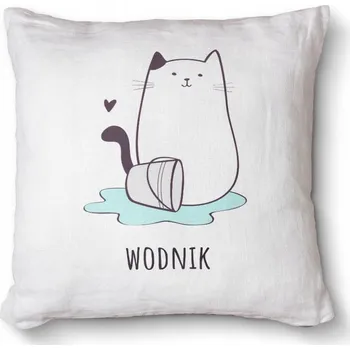 Dekorativní polštářek Antialergický dekorativní polštář s potiskem 40x40 - Znamení zvěrokruhu kočka vodnář