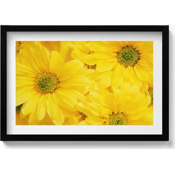 Obraz Ozdobný nástěnný obraz v černém rámu s grafikou loft Květiny okvětní lístky 60x40 cm