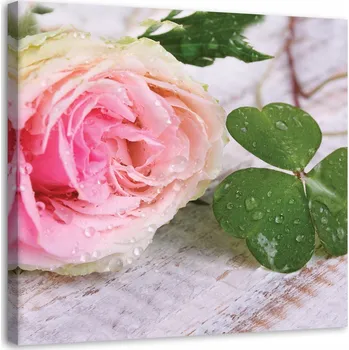 Obraz Tištěný obraz 30x30 růže květiny do obýváku