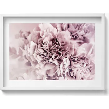 Obraz Nástěnný obraz v bílém rámu s grafikou Bledě růžové pivoňky, okvětní lístky 70x50 cm
