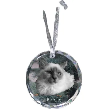 Obraz Birma – křišťálová vánoční koule s fotografií, fotografie kočky v křišťálu, personalizovaná