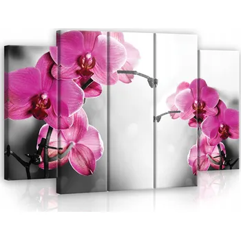 Obraz Obraz z 5 dílů ORCHIDEJ Moderní Velký 150x100