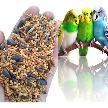 Krmivo pro ptáka Krmivo pro papoušky vlnité 10 kg krmivo pro malé senegalské papoušky