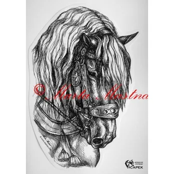 Žertovný předmět Samolepka -CHLADNOKREVNÍK-