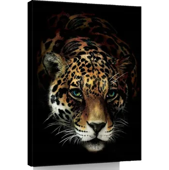 Obraz OBRAZ NA PLÁTNĚ CANVAS 60x80 JAGUAR PUMA KOČKA