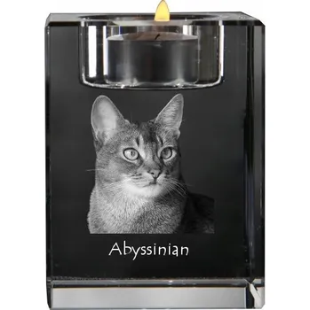Svícen Abyssinian - svícen s fotografií koně, křišťálový podstavec na čajovou svíčku,