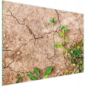 Kuchyňské prkénko Krájecí deska TMK ArtDeko sklo 1 ks