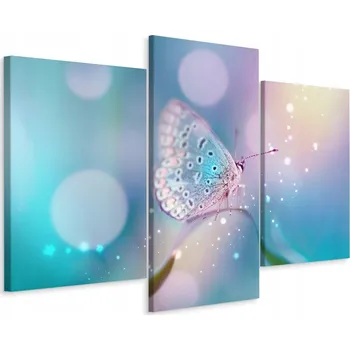 Obraz Obraz Tryptych MOTÝL na Stéblu Trávy Makro 60x40