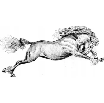 Obraz Plakát na zeď bez rámu 100x70 kůň foto-obraz plakáty do obývacího pokoje ložnice