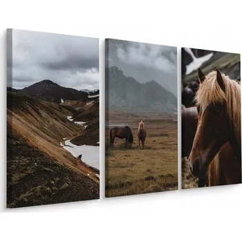 Obraz Obraz Triptych KŮŇ Hory Nebe Krajina 3D 60x40