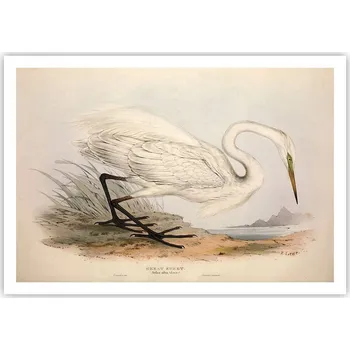 Obraz Plakát na zeď bez rámu 100x70 pták foto-obraz plakáty do obývacího pokoje ložnice