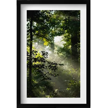 Obraz Obraz s černým rámem a grafikou na zeď Sluneční paprsky a stromy 40x60 cm