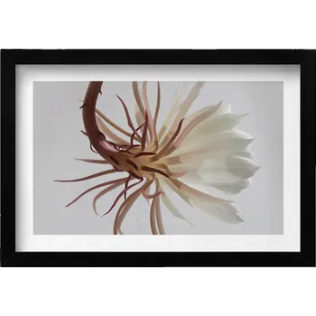 Obraz Dekorativní nástěnný obraz s rámem a grafikou loft Delikátní rostlina boho 30x20 cm